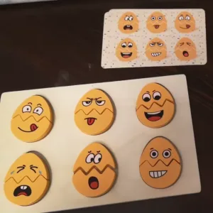 Customer D****a received the Emotion Matching Game.