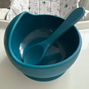 Customer H**e received a silicone suction bowl with a spoon.