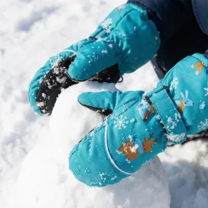 winter gloves, thick gloves, waterproof gloves, ski gloves, thermal gloves